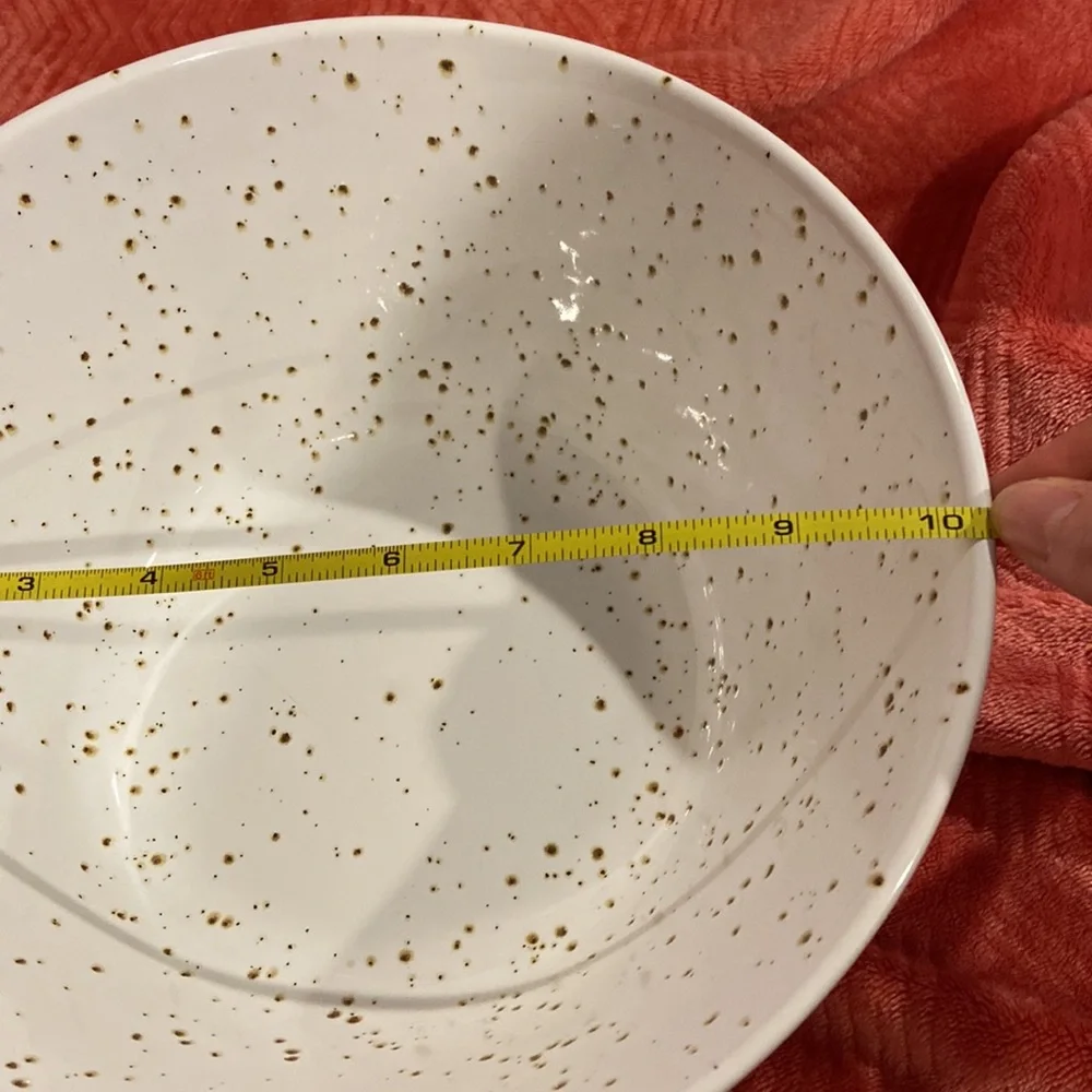 Retired Crate&Barrel Speckled Glazed Serving Bowl